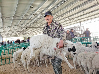 <p>　　马国清将销售出去的羊只抱到客户车上。</p>