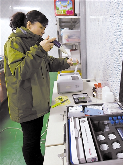 <p>　　质检员对每天配送的蔬菜都要进行抽样检测，让老百姓吃到安全放心的蔬菜。</p>