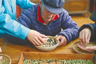 <p>　　陪老人“数豆豆”，锻炼分析能力。</p>
