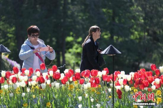 a549e599499846f288670994a408fe77.jpg a549e599499846f288670994a408fe77.jpg