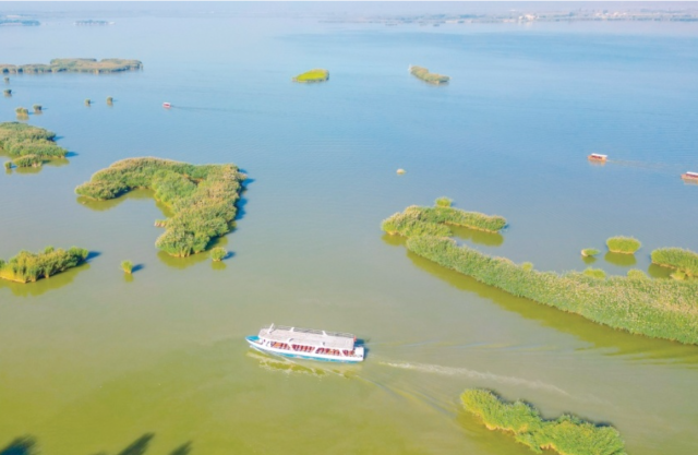 图鉴 | 夏日沙湖：沙水相依 碧波荡漾