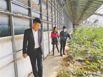 <p>　　李辉钦（左）到温棚了解产业发展情况。　（图片由受访者提供）</p>