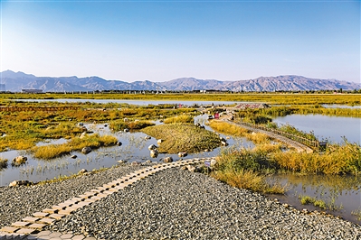 <p>　　湿地生态系统稳定性不断提高。</p>