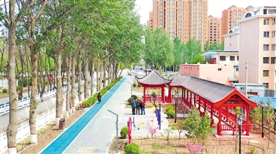 <p>　　良田渠改造。（本版图片均由金凤区委宣传部提供）</p>