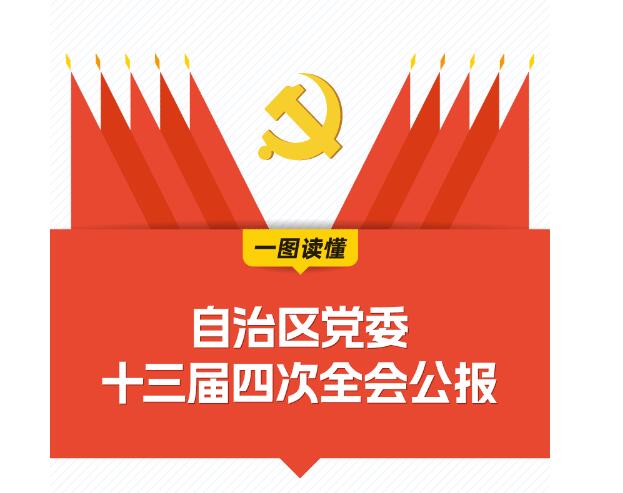 一图读懂｜自治区党委十三届四次全会公报