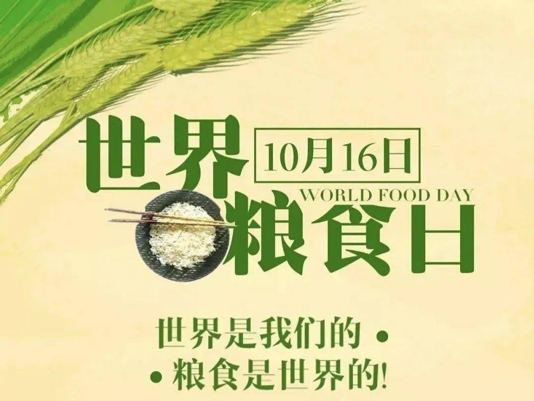迎接第43个世界粮食日，今天你节约粮食了吗？