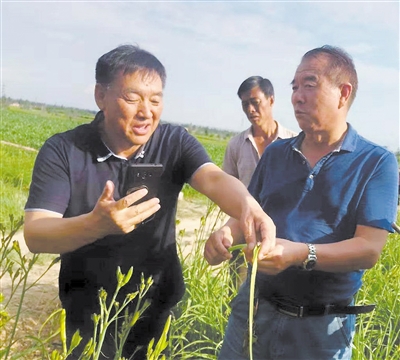 <p>　　陈卫民（左）对农户进行黄花菜种植技术指导。</p>
