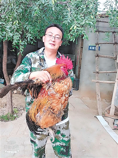 <p>　　韩少伟的优质土鸡成为“香饽饽”。</p>