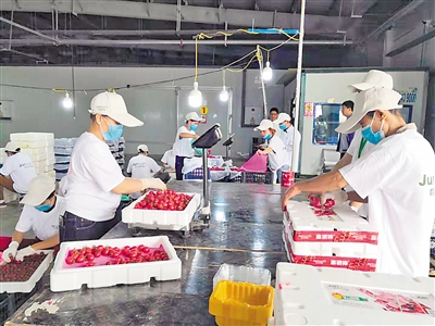 <p>　　严格质量管理，提升供给品质。</p>